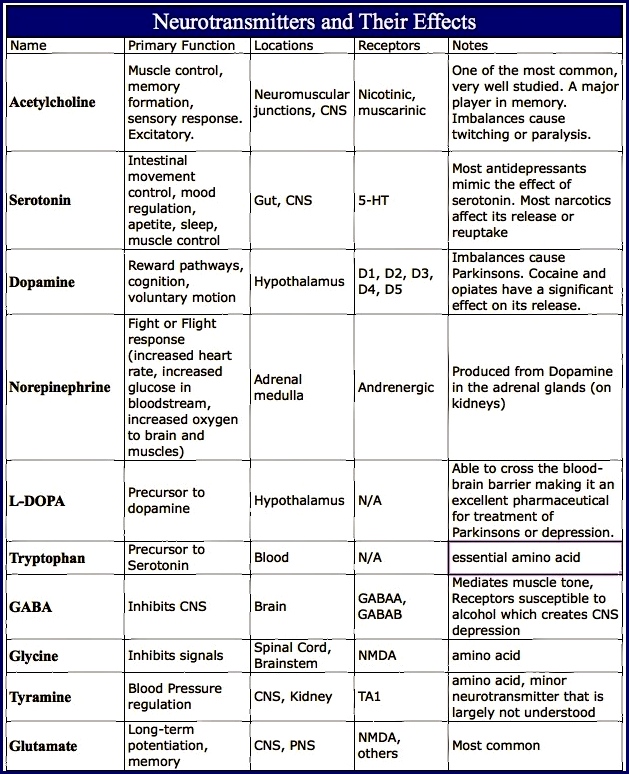 Common Neurotransmitters Chart